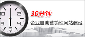 30分钟免费网站建设