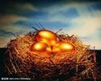 ����֤ȯ�����ڻ��ڻ�����Ӫҵ�� 