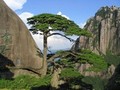 上海徽南电子科技有限公司